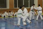 IMG_3515.JPG