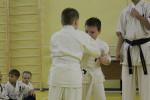 IMG_5018.JPG