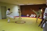 IMG_5543.JPG