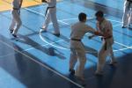 IMG_5210.JPG
