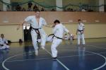 IMG_6543.JPG