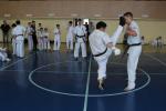 IMG_6570.JPG