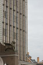 IMG_7041.JPG