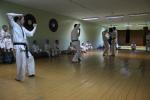 IMG_6796.JPG