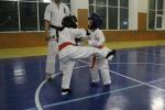 IMG_7224.JPG