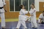 IMG_7231.JPG