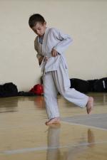 IMG_7343.JPG