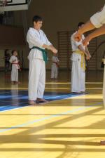 IMG_7372.JPG