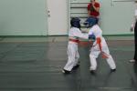 IMG_7922.JPG
