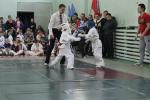 IMG_7931.JPG