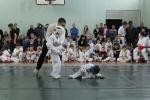 IMG_7935.JPG