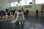 IMG_7949.JPG
