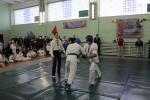IMG_7950.JPG