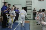 IMG_8014.JPG