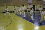 IMG_8241.JPG