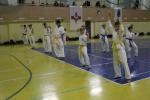 IMG_8245.JPG