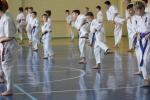 IMG_8345.JPG